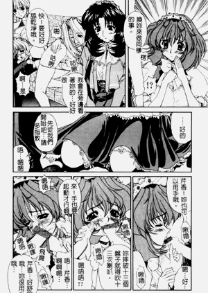 第43頁圖