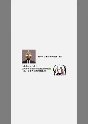 第276頁圖