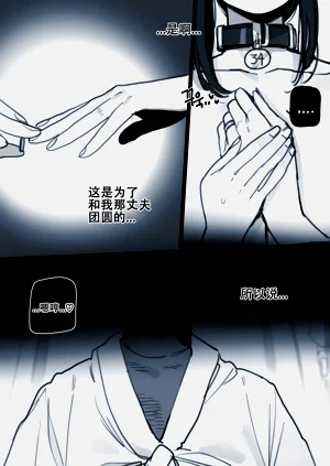 第33页图