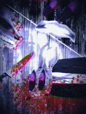 第35頁圖