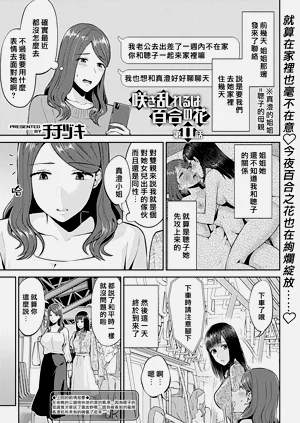 第203頁圖