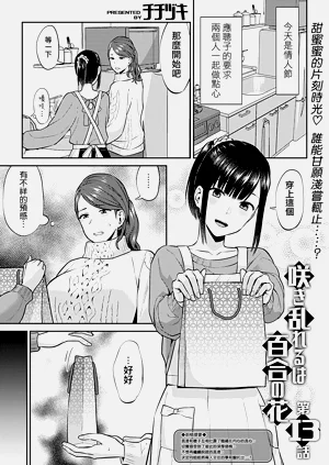 第243頁圖