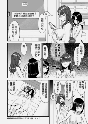 第43頁圖