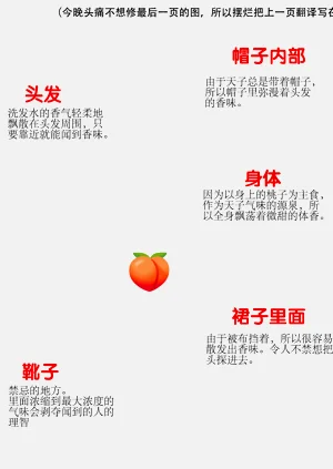 第30页图