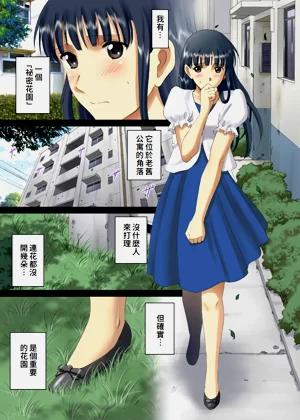 第4页图