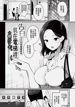 第295頁圖