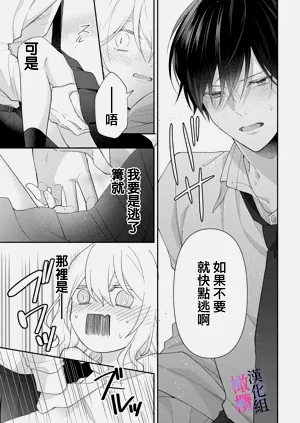 第41頁圖