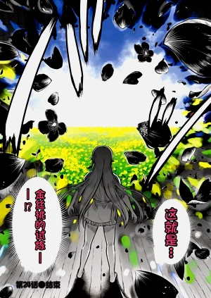 第519頁圖