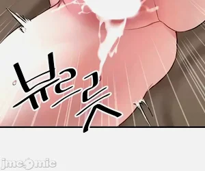 第542页图