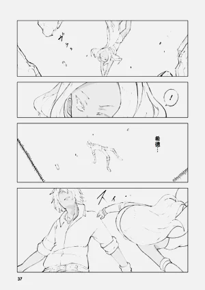 第37页图