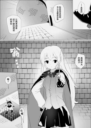 第2页图