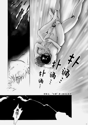 第44頁圖