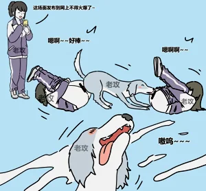 第11頁圖