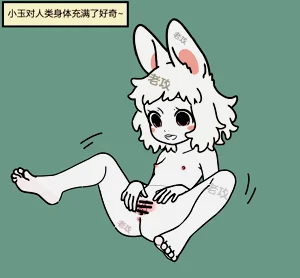 第15頁圖