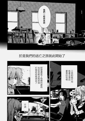 第8页图