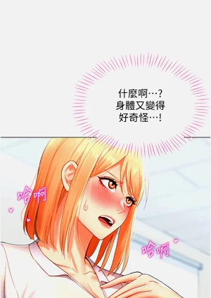 第104頁圖