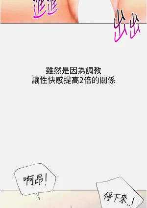 第300頁圖