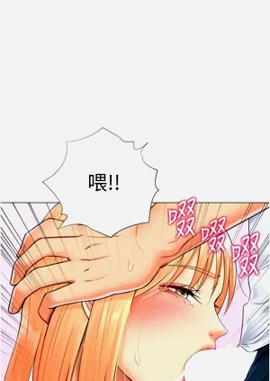 第331頁圖