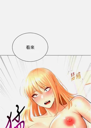 第333頁圖