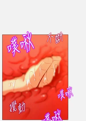 第337頁圖