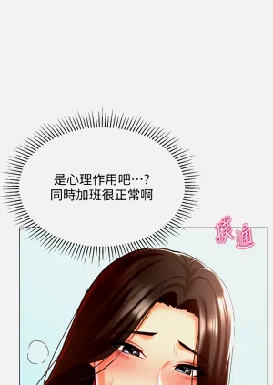 第381頁圖
