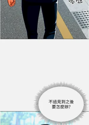 第425頁圖