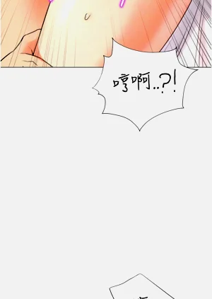 第479頁圖