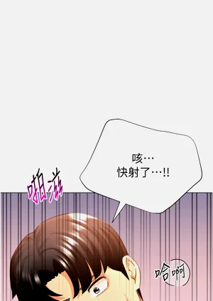 第495頁圖