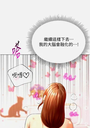 第504頁圖