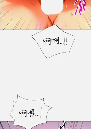 第507頁圖