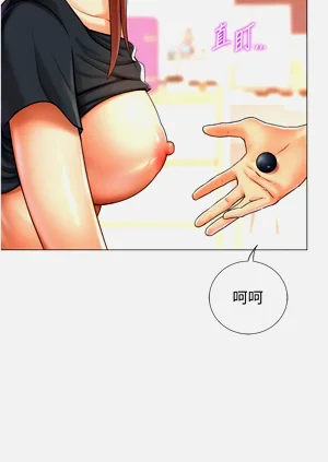 第510頁圖