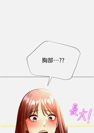 第511頁圖