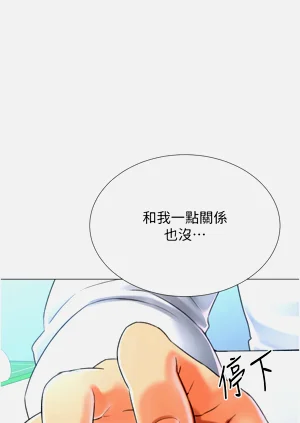 第531頁圖