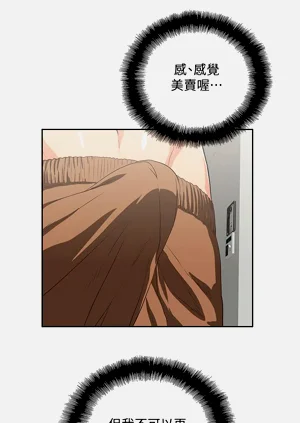 第235頁圖