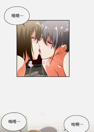 第244頁圖