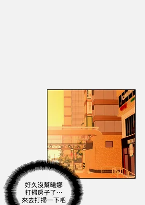 第250頁圖