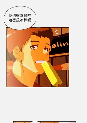 第251頁圖