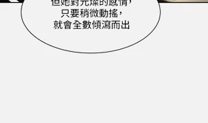 第542頁圖
