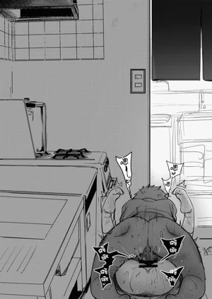 第240页图