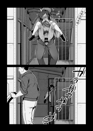 第247页图