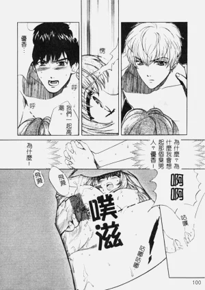 第100頁圖