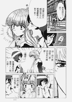 第111頁圖