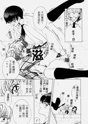 第161頁圖
