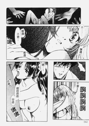 第42頁圖