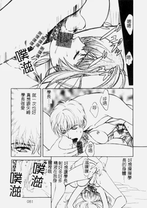 第81頁圖