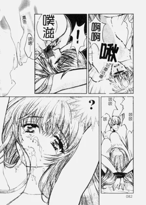 第82頁圖