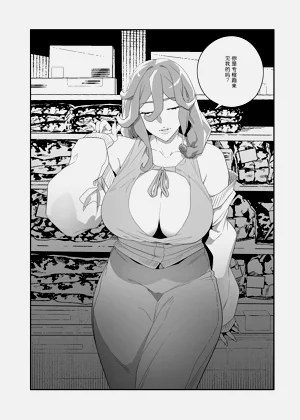 第13页图