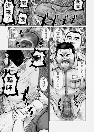 第17页图
