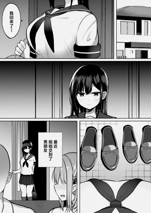 第3页图