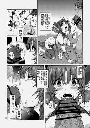 第21頁圖